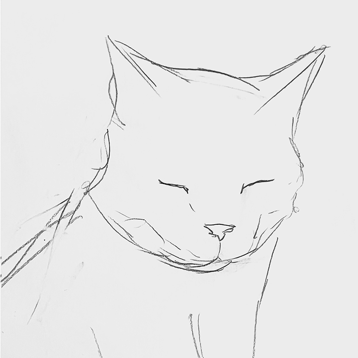 catlove.gif