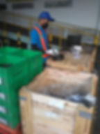 Sorting Material