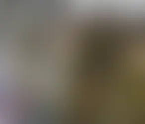 Tree Services In Leeds - Overhanging Tree