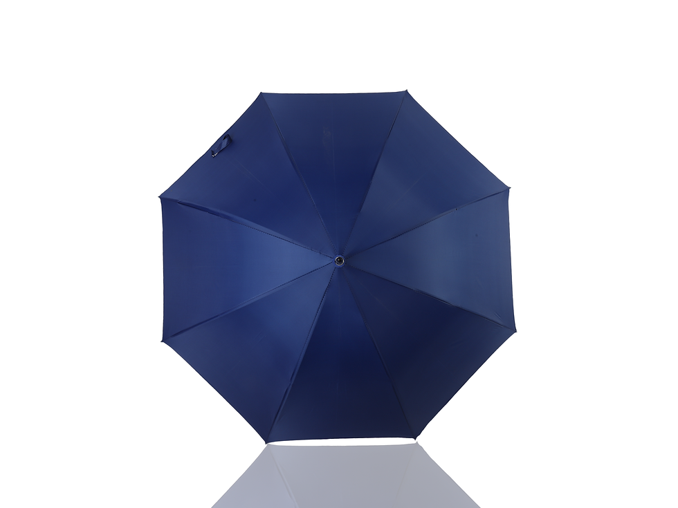 Miniatura: Brinde 2017LS Azul