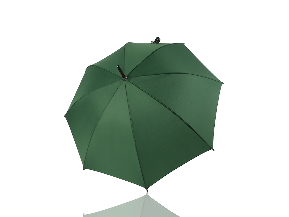 Miniatura: Brinde Verde 2204