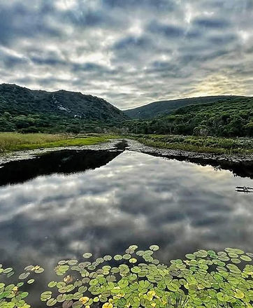 Expansive view of the Fynbos Trail, Stanford, Western Cape, South Africa