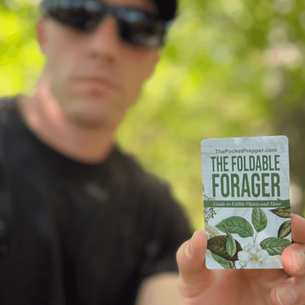 The Foldable Forager Review: Full Color Foraging Survival Book