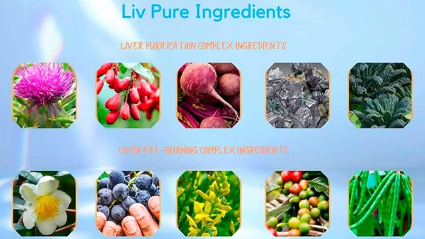 Liv Pure Review





