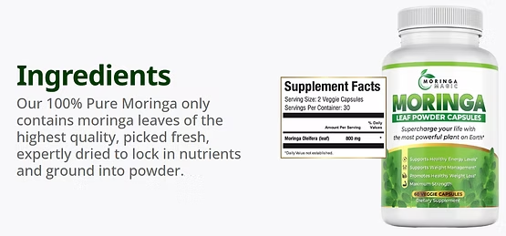 Moringa Magic Review