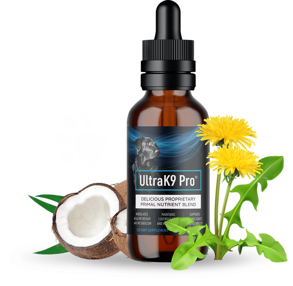 UltraK9 Pro Review