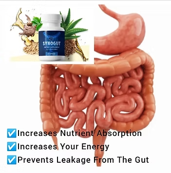 SynoGut Review
