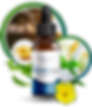 EchoXen Reviews