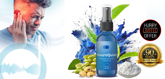 NeuroQuiet Review