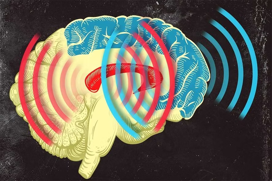 The Neuro Wave Review