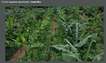 Screenshot 2025-12-11 at 3.31.09 PM.png