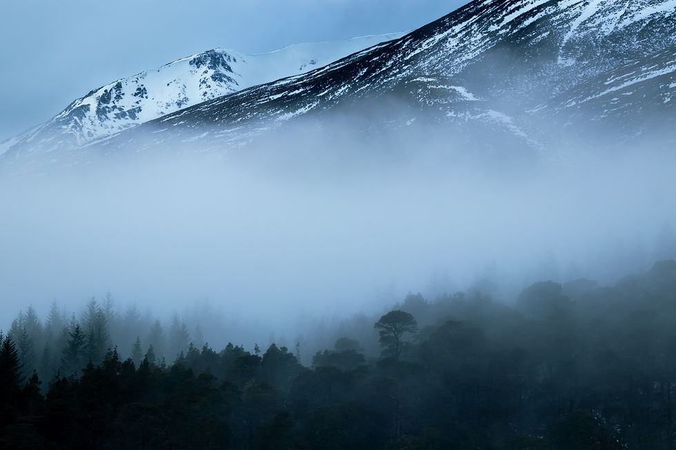 Home of the Ents (JAN).jpg