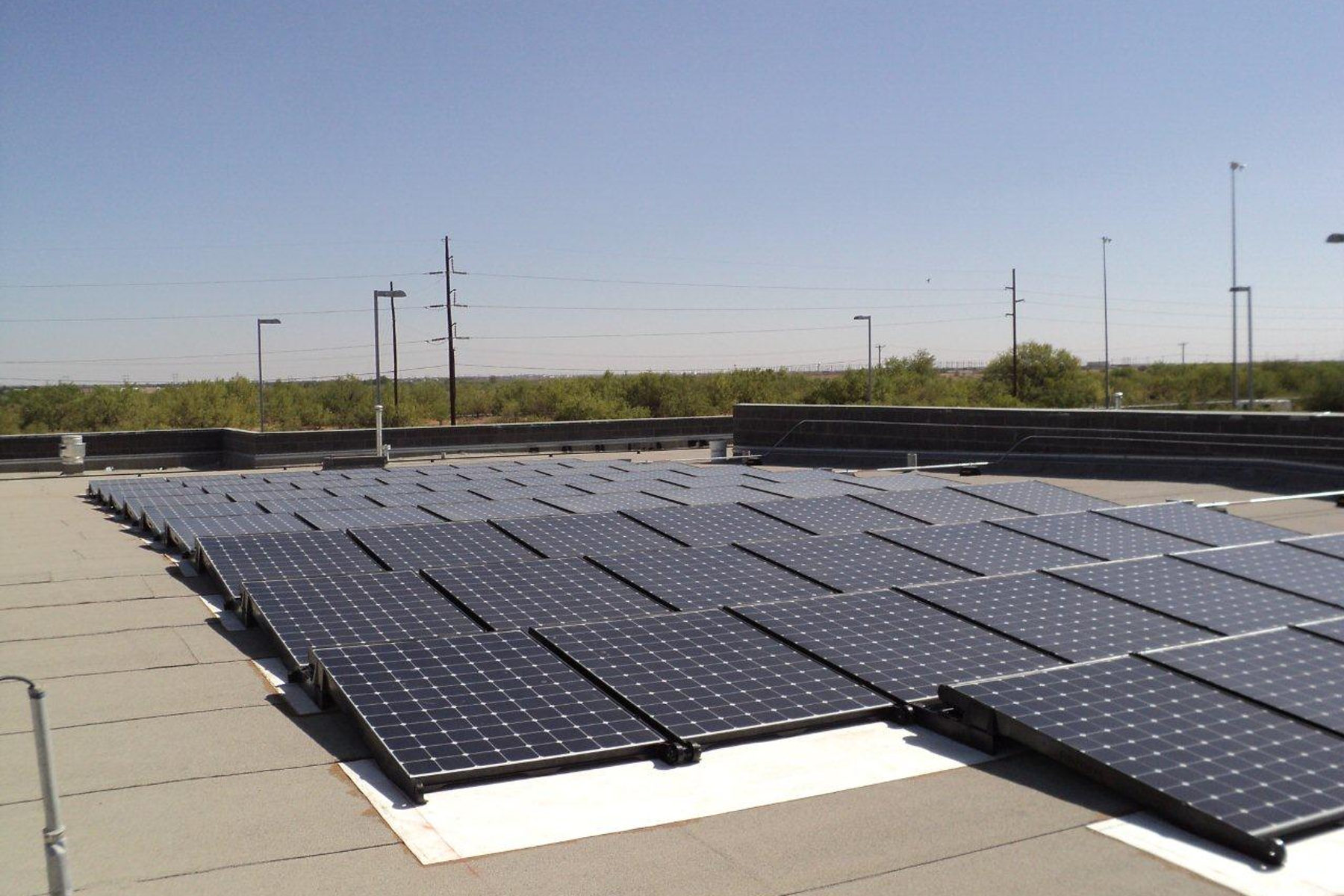 City of El Paso — Animal Services — project photo