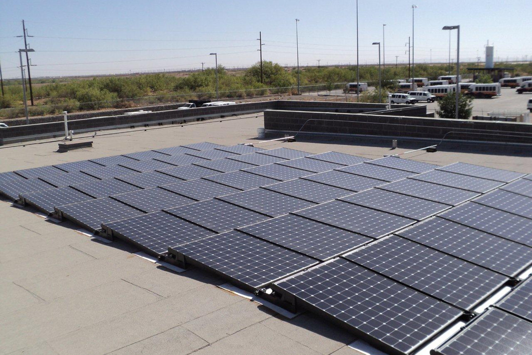 City of El Paso — Animal Services — project photo
