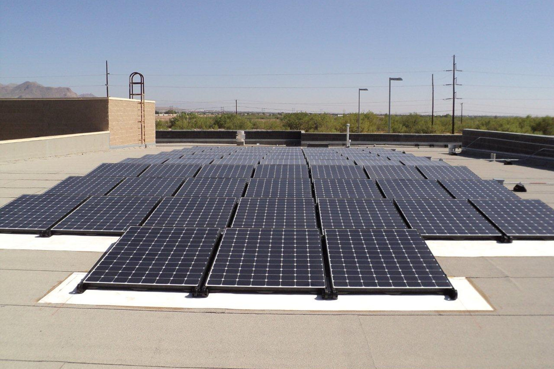 City of El Paso — Animal Services — project photo