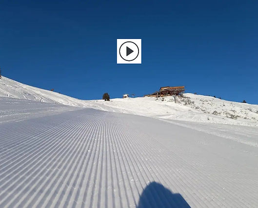Riesneralm Hochsitz_edited.jpg