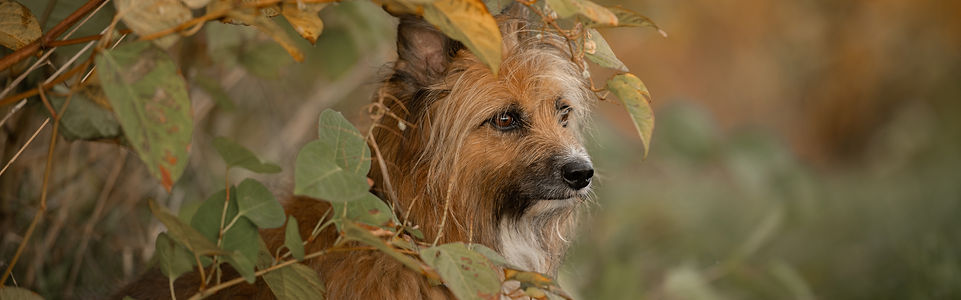 _DSC4619 Kopie-2.jpg