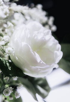 Wedding_photographer_photography_event_photographer_16_James_Ayley_Photography2022©.jpg