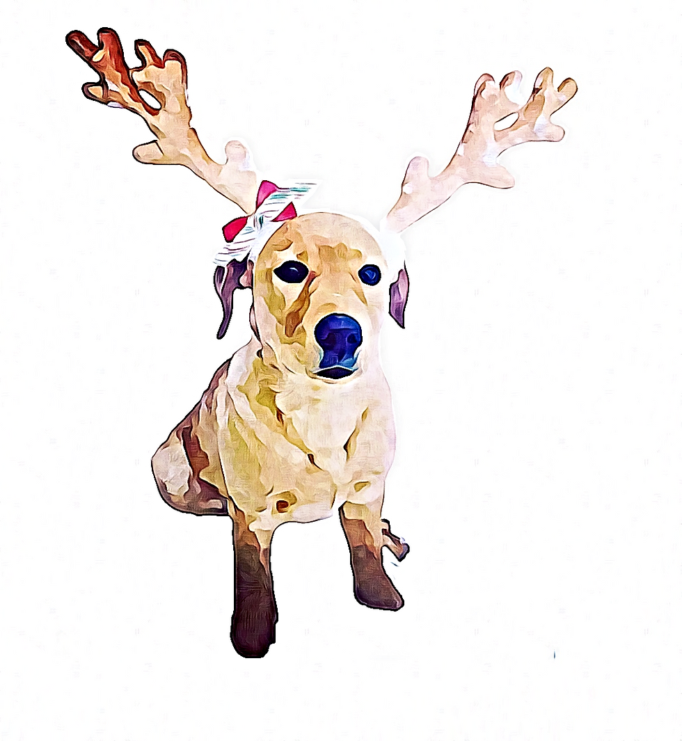 Thumbnail: Custom Christmas Cards