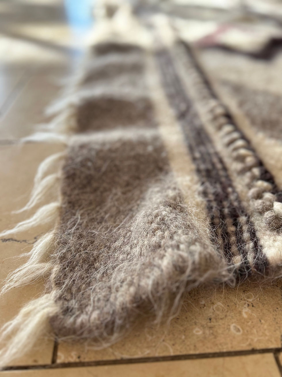 תמונה ממוזערת: שטיח דני קטן 