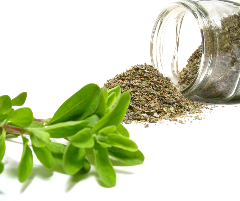 Marjoram (coming Oct. 25)