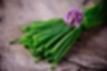 Chives (Mar 26)