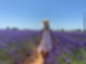 IMG_8294.jpeg