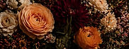 8A2854EE-5620-40D5-96F7-0ADF9B45F54C.jpg