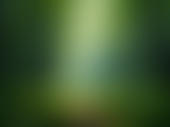 The Importance of Sustainable Living in Today's World