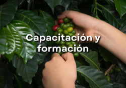 capacitacion y formacion servicio