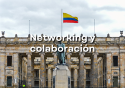 networking y colaboracion servicio
