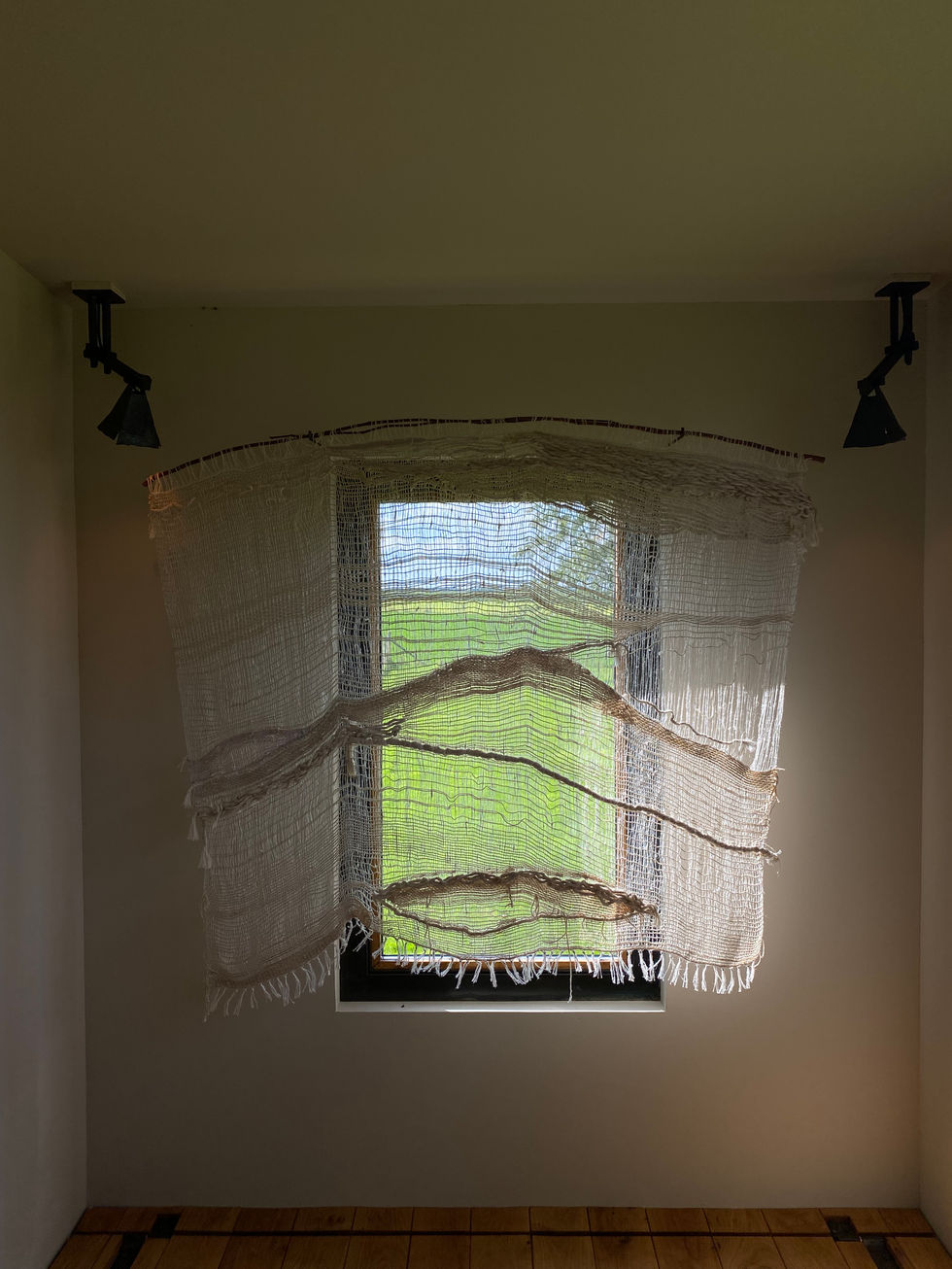 IMG_0273.jpeg
