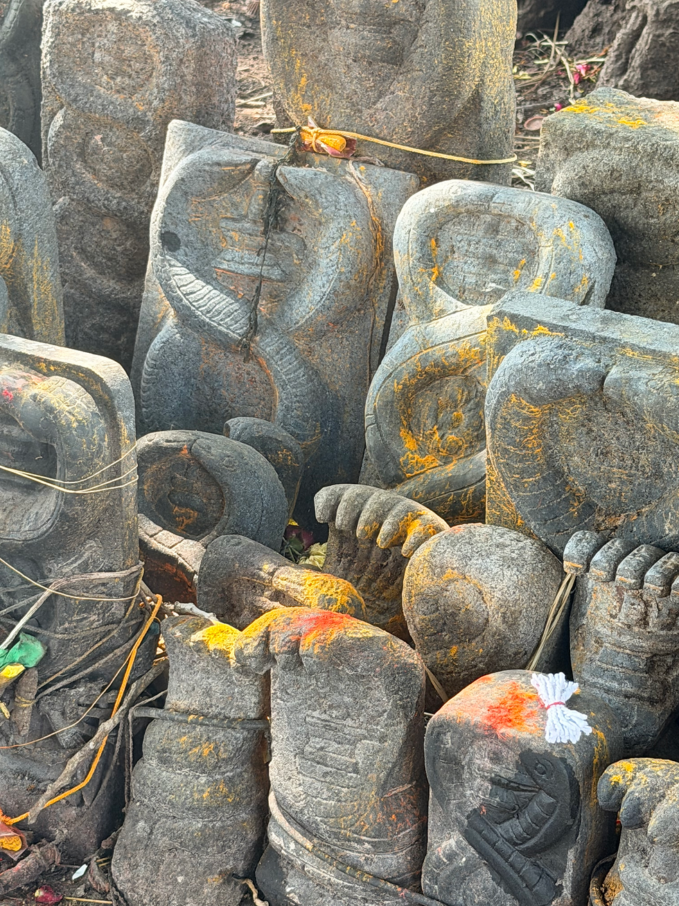 Ancient standing stones carved with images of snakes.

