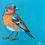 Thumbnail: Chaffinch - Original Artwork