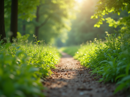 Conquer Your Day with Confidence: Unlocking Energy and Focus to Overcome Anxiety