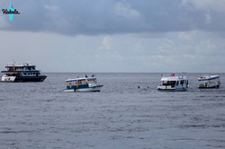 IMG_3037.jpeg