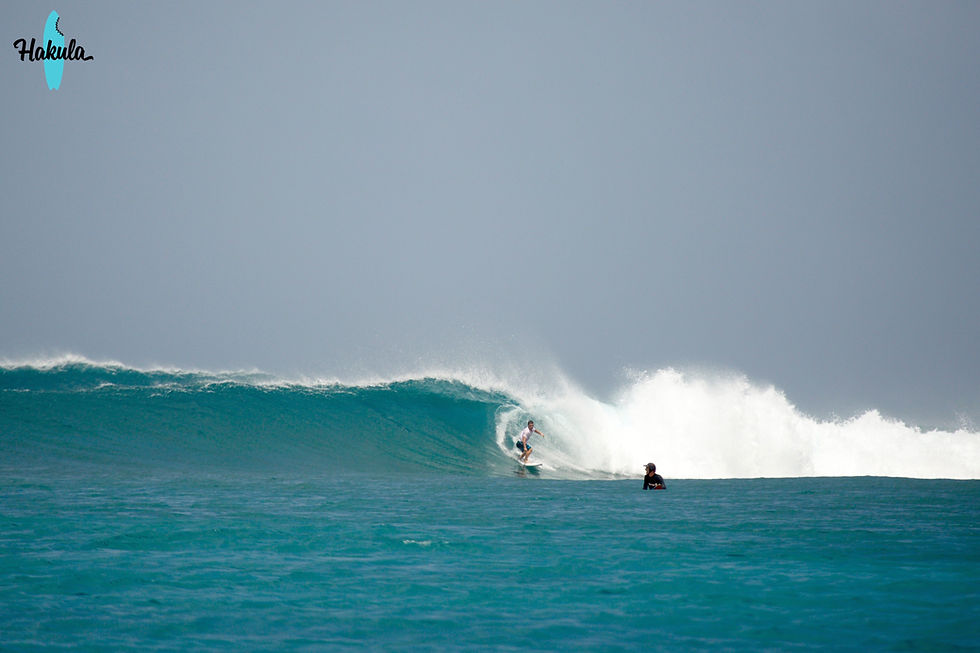 Серф-сафари на Мальдивы