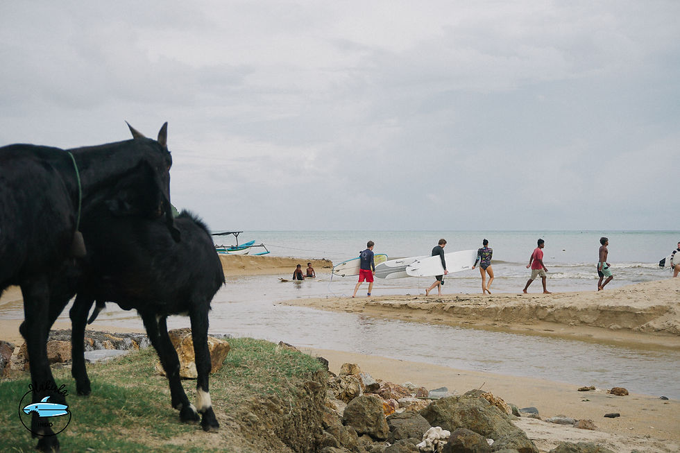 серфинг Ломбок Индонезия