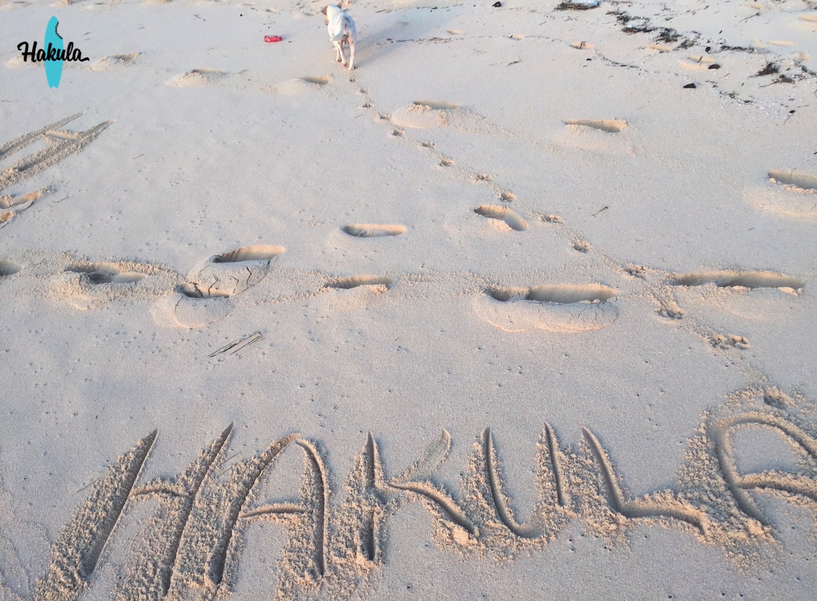 HAKULA