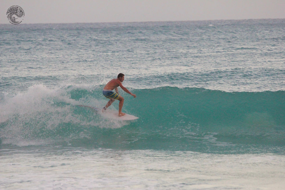 серфинг на Барбадосе