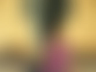 ブログを毎日書きたいと思ったワケ