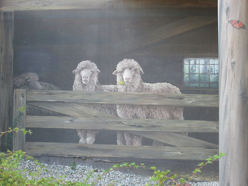 Mural in Sherbrooke, Qc