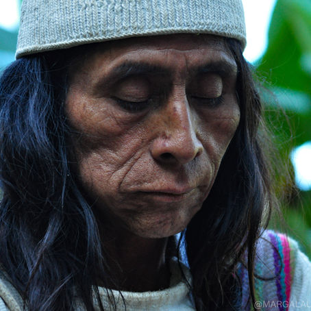 Revelations from a shaman.