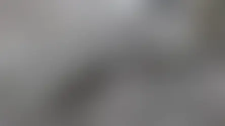 ATTC Closed Due to Inclement Weather (02/02/2023)