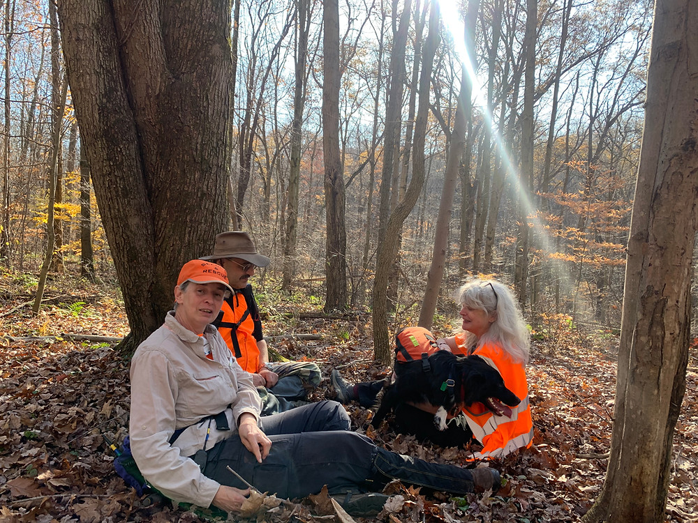 Handlers take time to praise dog after a training task.