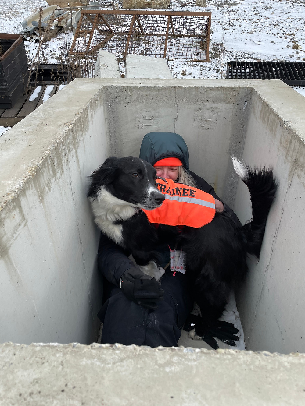 Training in the cold, hiding for a dog.