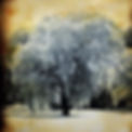 Image from iOS (1).jpg