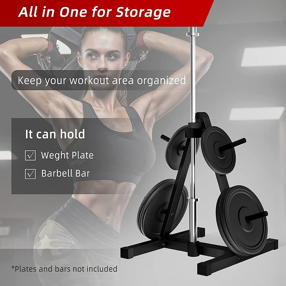 Thumbnail: 'A' Frame Weight Plate & Barbell Storage Rack Weight Tree Standard Olympic Size