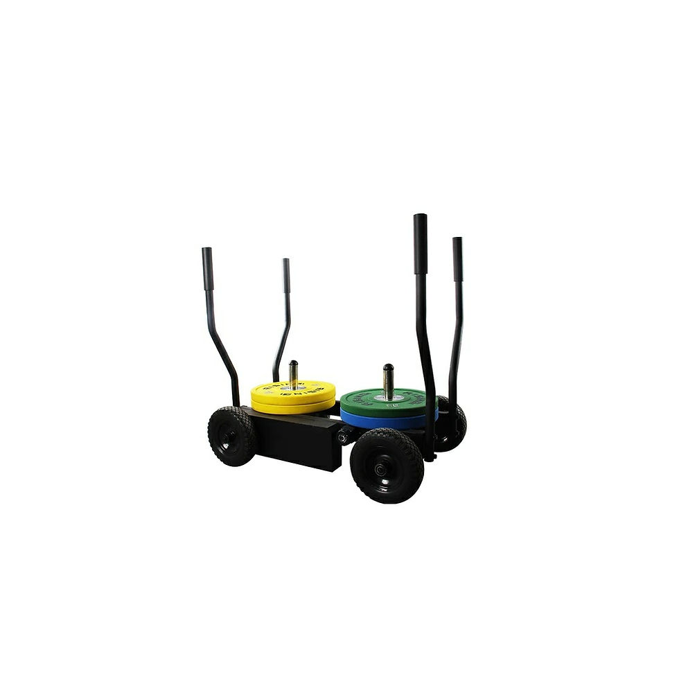 Thumbnail: Each grip has a firm rubber coating which allows the user to get a tight hold on the sled