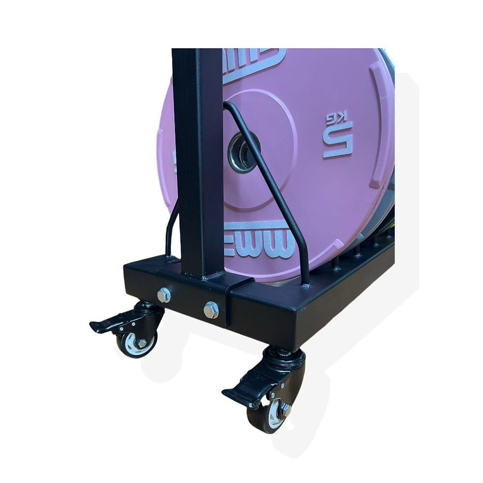 Thumbnail: MMB Kamilo Bumper Plate Storage Rack
